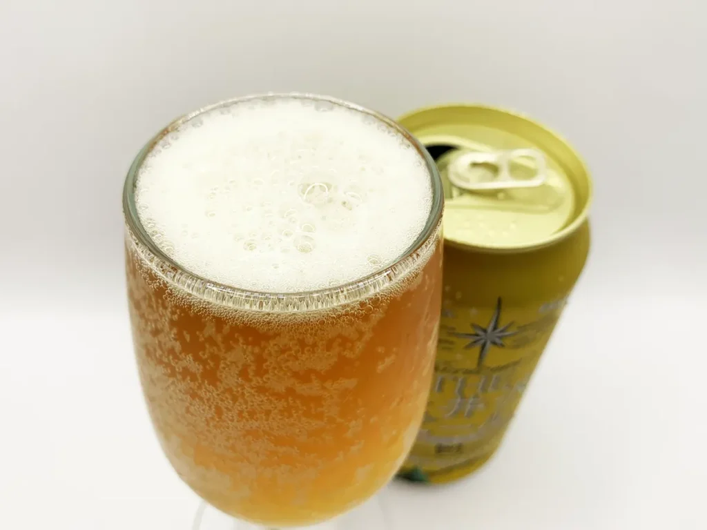 THE軽井沢ビールダークの泡立ち1